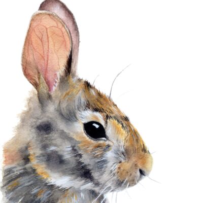 Bunny Print